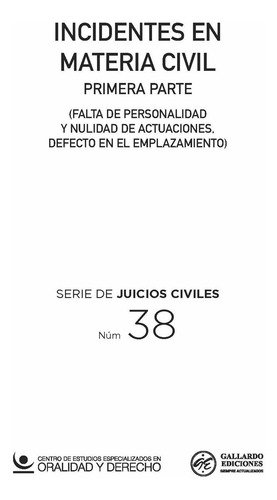 Incidentes En Materia Civil (primera Parte) (falta De Personalidad Y Nulidad De Actuaciones, Defecto En El Emplazamiento)