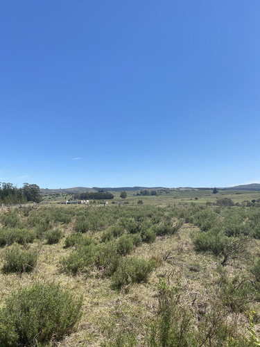 Imagen 10 de 17 de Chacra - Pueblo Edén