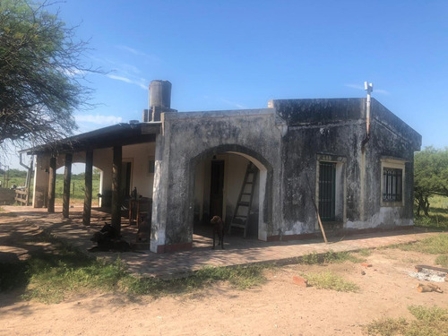 Campo En Santiago Del Estero Apto Para Explotación Ganadera (2200 Ha)