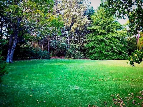 Imagen 4 de 7 de Exclusivo Lote En Venta En Country San Diego- Moreno