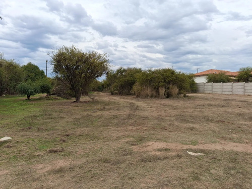 Oferta Parcela 5.000 Mt2, Talca (pencahue) Agua Y Luz