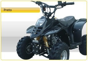Quadriciclo 4 Tempos Infantil 110cc Barzi Motors Bz Flash