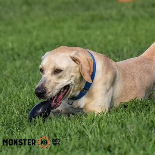 Monster K9 Balón Masticable: Juguete Resistente Para Perros