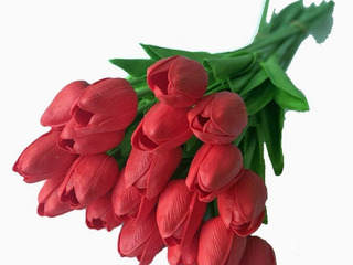Flor Tulipa Vermelha | MercadoLivre 📦