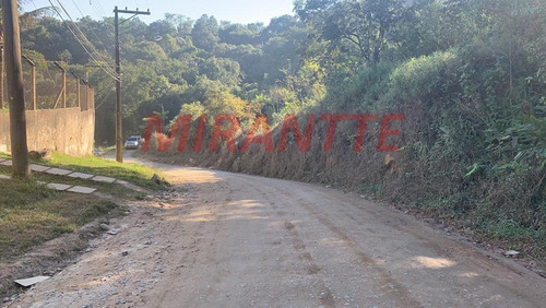 Imagem 4 de 4 de Terreno Em Caceia - Mairiporã, Sp - 345029