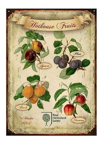 Chapa Vintage Hothouse Fruits Frutas De Invernadero M331