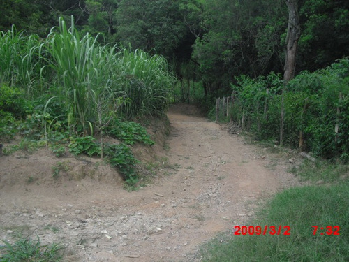 Imagem 10 de 15 de Chacara No Bairro Taquaras Prox. Cidade | 48216 - 48216