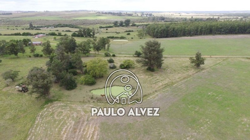 Chacras-venta-pan-de-azucar-ch036