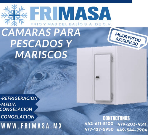 Camara Refrigeracion Grande