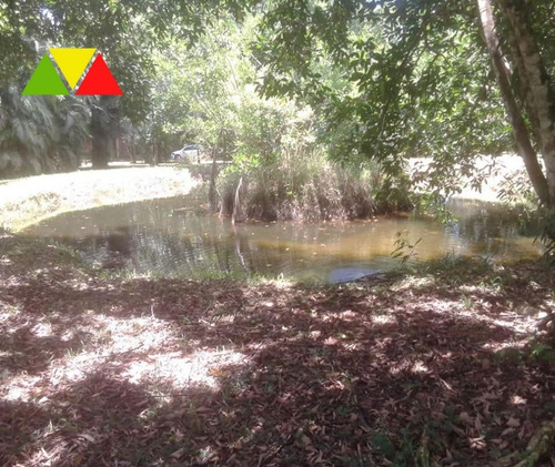 Imagem 6 de 12 de Chacara - Ch00146 - 69490156
