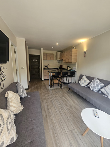 Vendo Depto 1d Y 1b En Condominio Pucón Andino