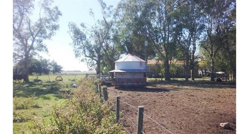 Imagen 2 de 24 de Campo En San Vicente