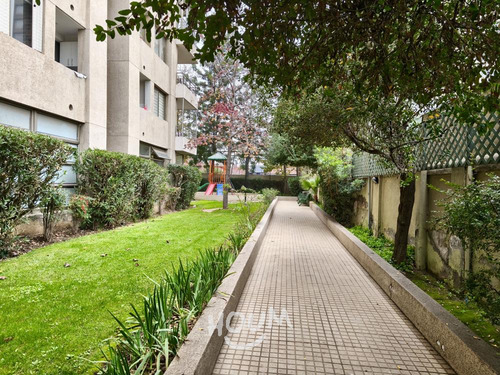 Departamento Vargas Buston Id: 153194