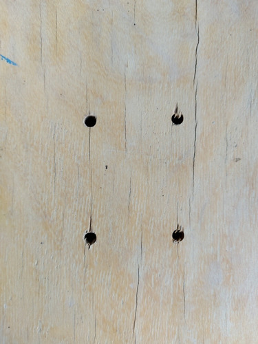 Shape Skate Decoração