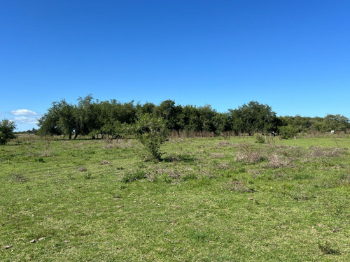 Campo En Venta De 36, 7 Hectáreas Con Manga, Potrero, Molino, Corrales