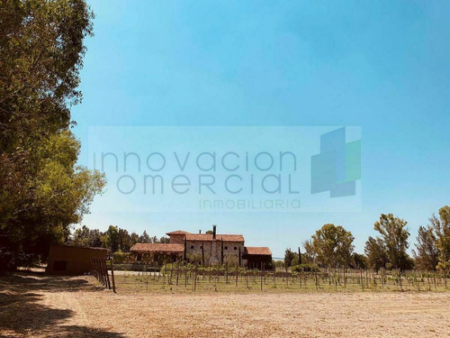 Imagen 8 de 24 de San Miguel De Allende, Terreno En Venta Dentro De Viñedo