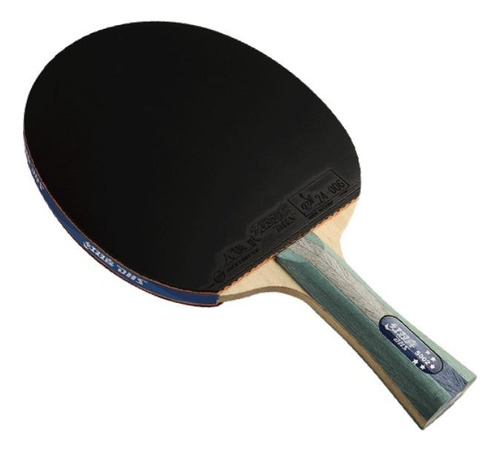 Raquete de ping pong DHS 5002 preta/vermelha FL (Côncavo)