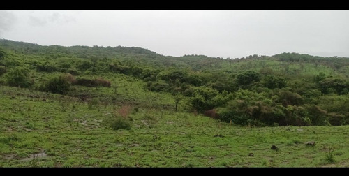 Imagen 24 de 30 de Se Vende Finca De 154 Manzanas