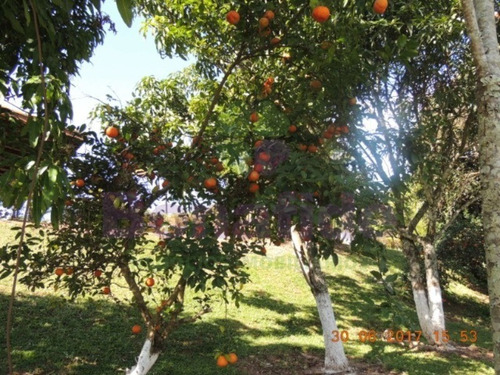 Imagem 16 de 20 de Chácara, Pau Arcado, Campo Limpo Paulista - Ch07848 - 69263438