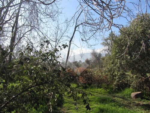 Imagen 12 de 15 de Sitio En Venta 1145 M2 En Lo Cañas, La Florida