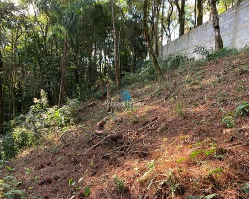 Imagem 4 de 30 de Chácara Para Residir Em Atibaia - Sp - Escriturada Com 3101,00 Metros Quadrados - Ch00925 - 69736248