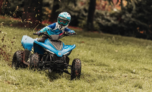 Quadriciclo Atv Cforce 110 4x2