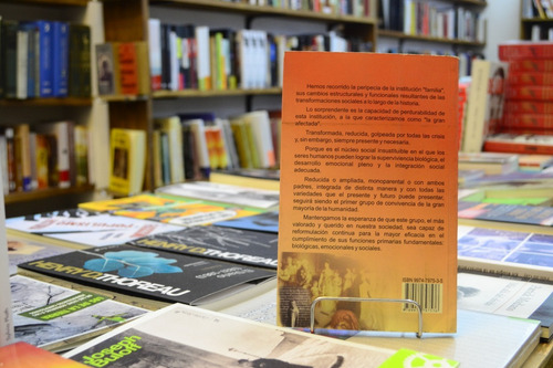 Familia, Comunicación Y Realidad. M I Diverio - E Touceda. (Usado)