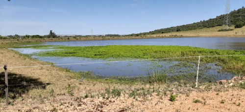 Campo Sobre Ruta Interbalnearia