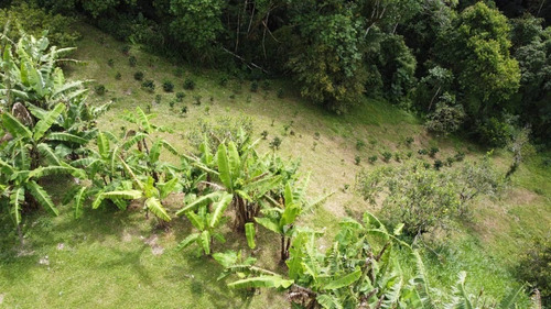 Imagen 13 de 22 de N.m. Finca En Venta En Capacho