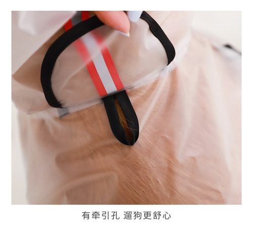 A Chubasquero Transparente For Perros Grandes Con Capucha Y