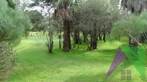 Casa En Venta En Punta Del Este,zona Golf- Ref: 29700