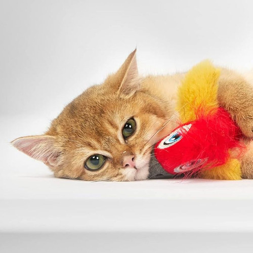Brinquedo Gato Com Sons De Passarinho e Catnip Animaux - Tucano De Pelúcia 18cm