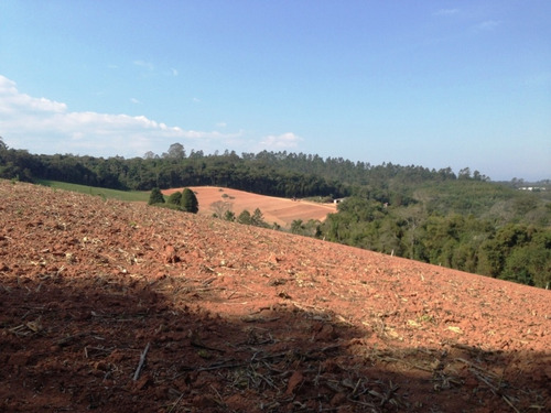 Imagem 12 de 23 de Terreno De 60.000 Mts² Apenas 100 Mts Da Bunjiro Nakao Cod: 0488