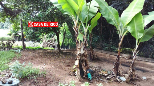 Imagem 8 de 14 de Chácara A Venda Em Tamarana - 652