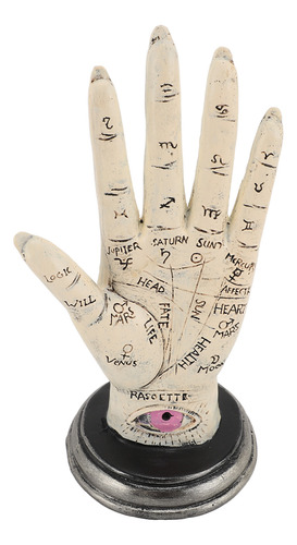 Modelo De Lectura Con La Palma De La Mano, Quiromancia, Líne