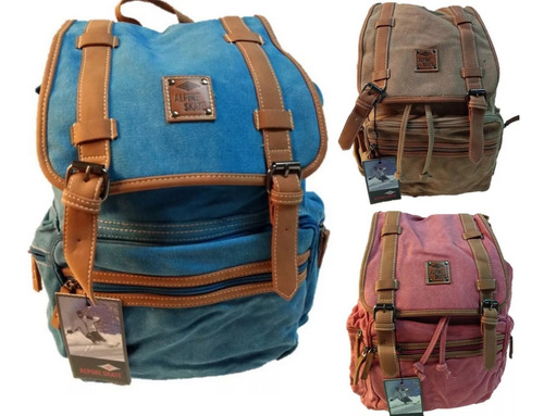 Mochila Alpine Skate 100% Original 18 PuLG Canvas Original