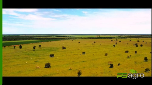 Imagem 9 de 19 de Fazenda À Venda, 108300000 M² Por R$ 180.000.000 - Centro - Canarana/mt - Fa0300