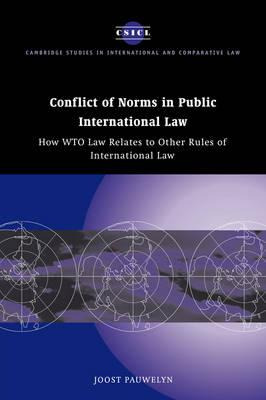 Libro Conflict Of Norms In Public International Law : How...
