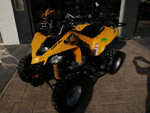 Imagen 3 de 10 de Can-am Ds 250 2013