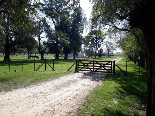 Hermosa Casa De Campo Con Pileta, Arboleda Y Caballos !!