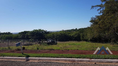 Chácara À Venda, 4500 M² Por R$ 230.000,00 - Riviera Do Nascente - Alvorada Do Sul/pr - Ch0079