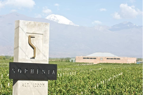 Imagen 2 de 3 de Vino Sophenia Roberto L Blend 750ml. - Finca Sophenia