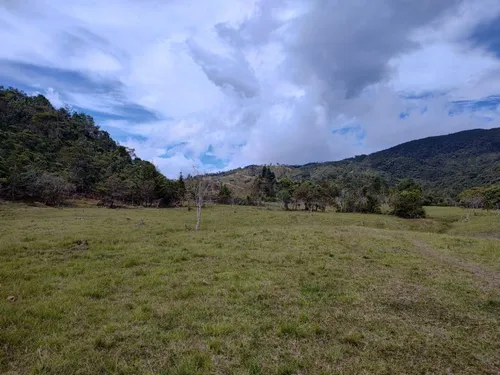 Lote En Arriendo/venta En Vereda La Florida. Cod A8579