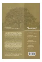 Comprar O Evangelho Por Emmanuel: Comentários Ao Evangelho Seg. João