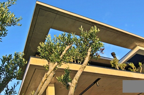 Imagem 15 de 30 de Casa À Venda Em Xangri-lá - Ca01324 - 69313280
