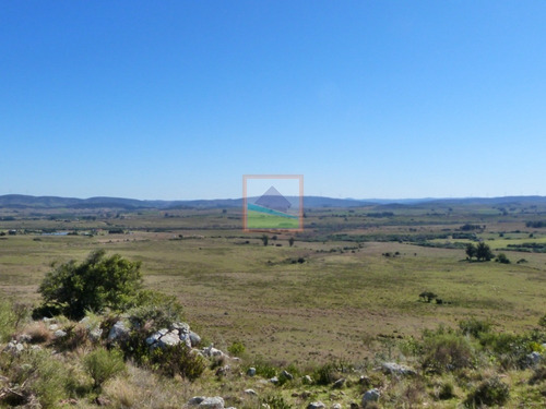 Imagen 18 de 30 de 79 Hás Campo Criador Y Serrano En Corte De La Leña