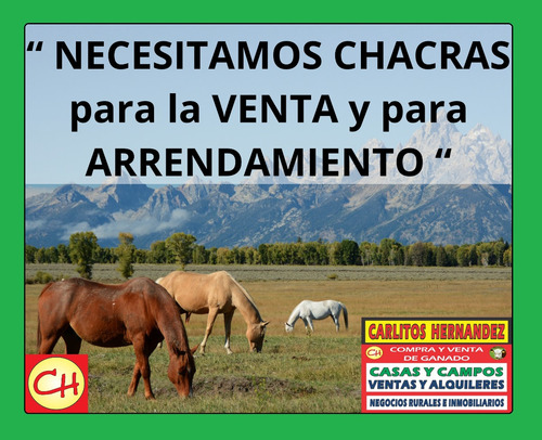 Zona Ecilda Paullier En San Jose Necesitamos Propiedades Para Venta Y Para Alquiler Por Pedidos Concretos De Nuestros Clientes