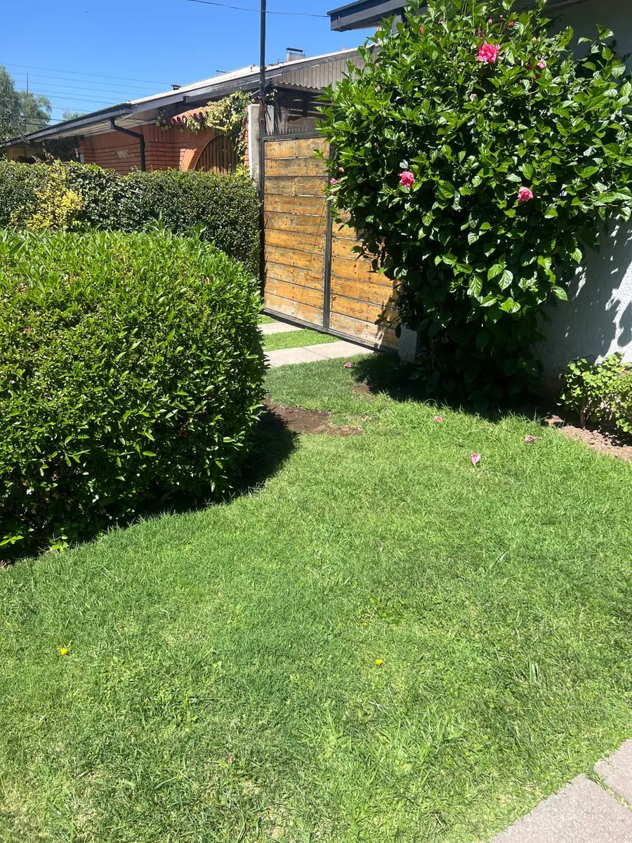 Imagen 4 de 23 de Amplia Propiedad Venta Ñuñoa (154932)