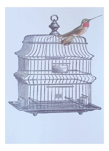 Imagen 3 de 5 de Sublimación Mixta Pajaros Vintage Laura Craft