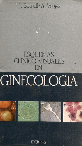 Libro Esquemas Clinico-visuales En Ginecologia De Roman Borr